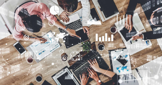 人材育成・販売支援事業